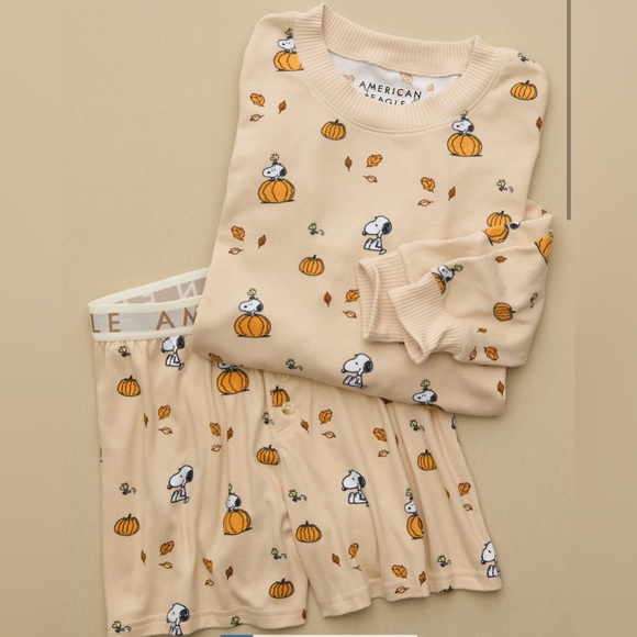 NWT AE fall snoopy PJs - Picture 2 of 2